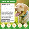 Natural Intestinal Defense for Dogs, Herbal Cleanser & Natural Digestive