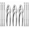 Seafood Crackers Tools Nutcrackers tools, Crab Nut Lobster Crackers Opener