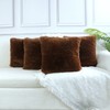 Sea Soft Lion Velvet Throw Pillow Case Cushion Cover Fashion