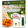 Tea Daifukuen Persimmon Leaf Tea Bag, Made in Japan, Persimmon