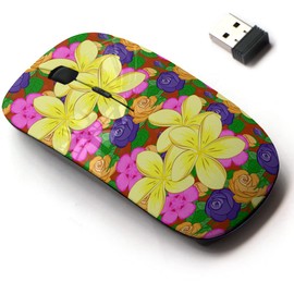 CJCBROES - mouse inalámbrico 2.4G con bonito diseño de patrón para todas las computadoras portátiles y computadoras de computadora con nano receptor, fontanería decorativa