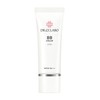 Dr. CiLabo BB Cream 377+ (1.1 oz (30 g) Per