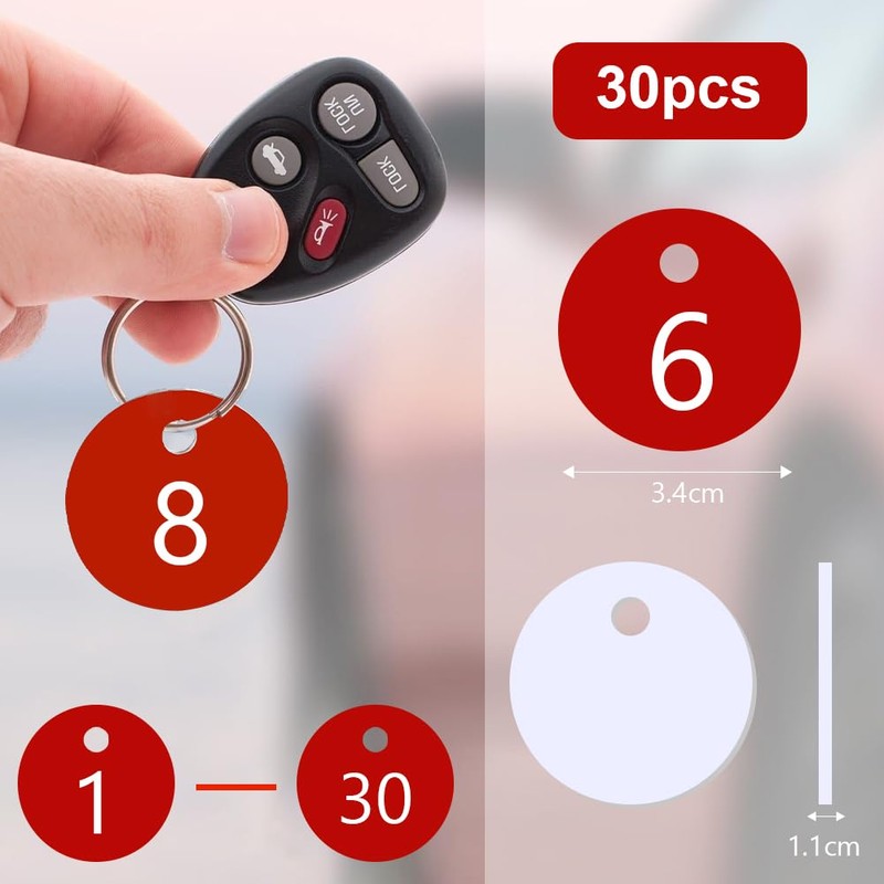 Flintronic Portachiavi Numerati, Targhette Numerate in Plastica, 30 Pezzi