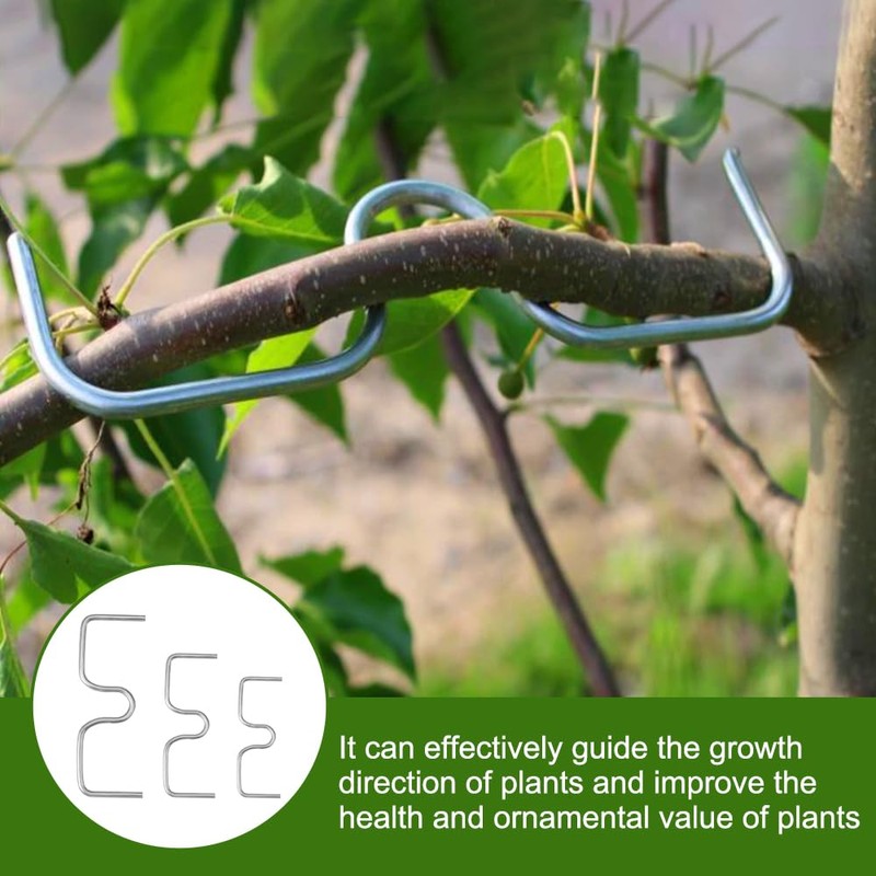 Pack of 30 Branch Supports for Fruit Trees, 13/10/8 cm