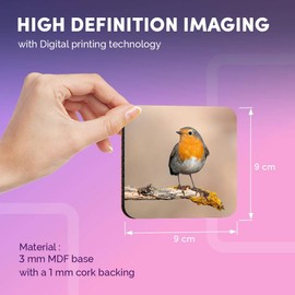 Destination Vinyl ltd Great Coasters (Set of 4) Square - Red Robin Bird Garden Cute Drink Glossy Coasters/Tabletop Protection for Any Table Type #2062