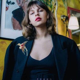 Colorful Crystal Rhinestone Phoenix Brooch,Handmade Enamel Lapel Brooch Pins Cute Phoenix Bird Animal Brooch Premium Badge Costume Hat Bag Decoration Accessories for Women Girls (red)