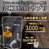 VALX HMBタブレット 山本義徳 HMB1日あたり3,000mg配合 450粒