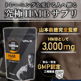 VALX HMBタブレット 山本義徳 HMB1日あたり3,000mg配合 450粒
