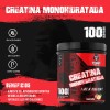 Creatina Monohidratada 500gr Strong Protein 100 Servicios