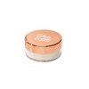 Thin Lizzy Airbrush Finishing Powder