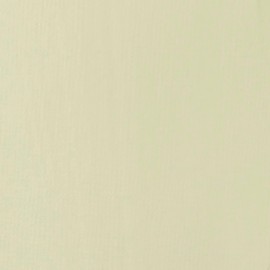 LIQUITEX Acrylic Paint Basics B-075, Parchment, 4.0 fl oz (118 ml)