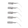 5pcs P1 Dental Clean Machine Tip Stainless Steel Heat Resistance