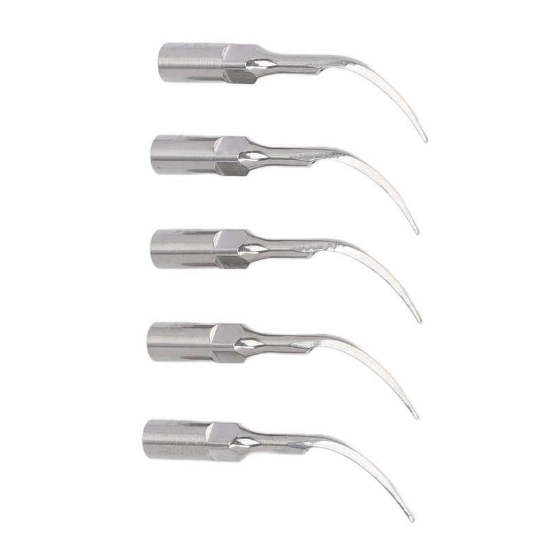 5pcs P1 Dental Clean Machine Tip Stainless Steel Heat Resistance