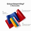 Cricut Smart Vinyl Removable | 1 sheet | 33cm x