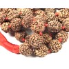 Rudraksha mala Beads necklace Rudraksh Japa 5 Mukhi ( 5