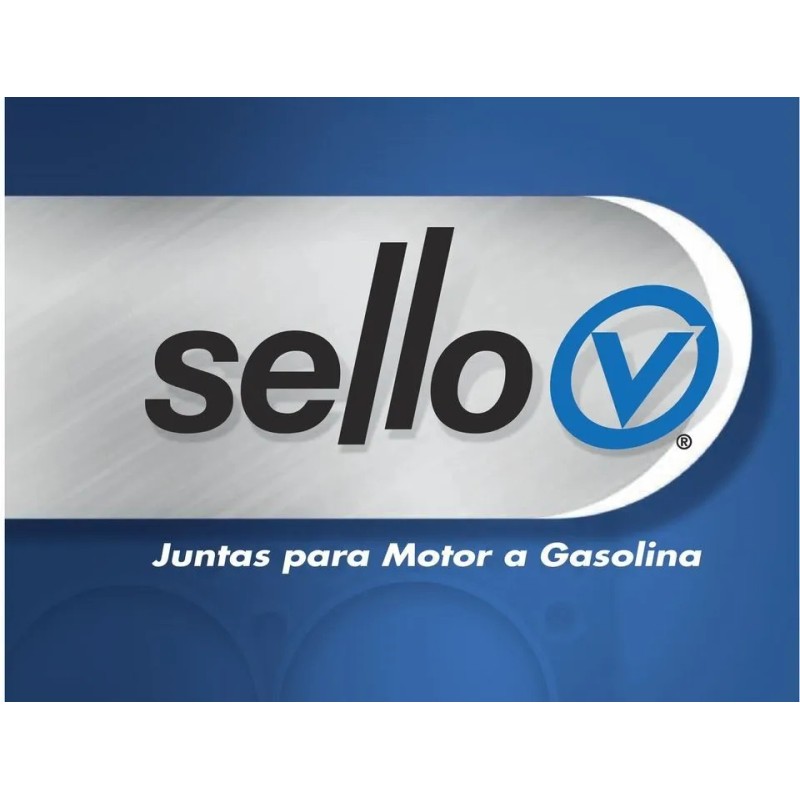 Juego De Juntas Gm Cavalier Pontiac Sunfire 2.4 L 16v