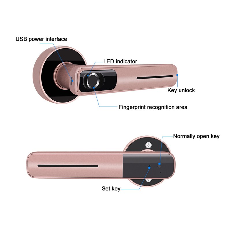 Indoor Smart Biometric Fingerprint Aluminium Alloy Security Electronic Door LockRight