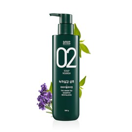 AMOS PROFESSIONAL The Green Tea Shampoo Refresh [para cuero cabelludo graso] 17.6oz (500g) | Champú coreano para el crecimiento del cabello contra la pérdida de cabello para limpiar el exceso de sebo
