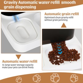 Automatic Pet Feeder and Water Dispenser Set, 2 in 1 Gravity Cat Dog Auto Food and Water Bowl Set for Small Dogs Puppy Cats Pets (Black&White)