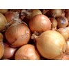 Generic Fresh Sweet Vidalia Onions, USA Grown, NON-GMO, Bulk (1