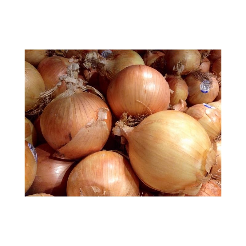 Generic Fresh Sweet Vidalia Onions, USA Grown, NON-GMO, Bulk (1