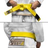 Hayabusa Youth Jiu Jitsu Belt - Yellow, Y1