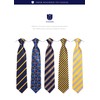 HISDERN TA5-01S Set of 5 Ties and Pocket Squares for