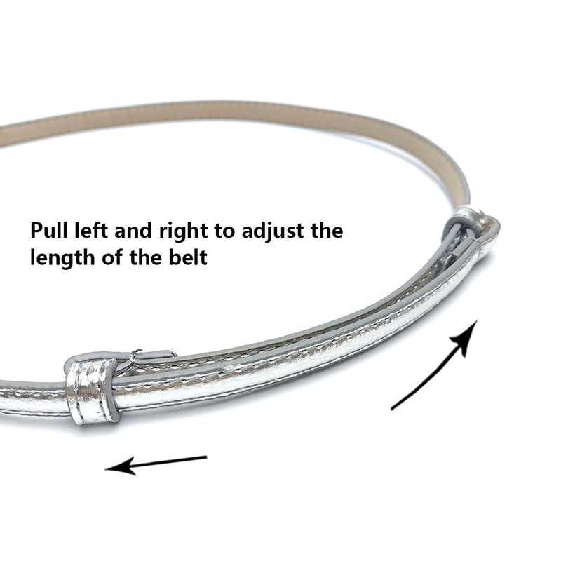 Rojeam Women's Thin Belt for Dress Retro Metal Decorative Belt,