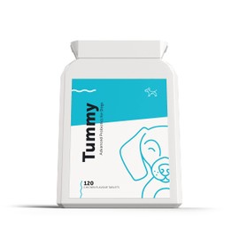 Tummy - Advanced Probiotic & Prebiotic for Dogs with Sensitive Stomachs, Gas, Itchy Skin | Digestive Enzymes to Better Digestive & Immune Health | 120 Tablets | 2 Billion CFUs | UK Made | Dog's Lounge