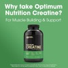 Optimum Nutrition Optimum Nutrition Micronized Creatine Monohydrate Capsules, Keto Friendly,