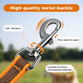 Wisedog 3 m Orange Double Ended Rubberised Dog Lead Lightweight Hands Free Lead for Dog Non-Slip Hands Free Dog Lead Fit for Walks Running Camping