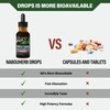 Nabouherb Cleavers Lymphatic Drainage Drops, Herbal Lymph Detox & Immune