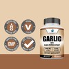 American Standard Supplements Garlic 2400mg Per Serving with Black Pepper