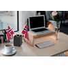 Norway Stick Flag 4x6IN 12 Pack Small Mini Norwegians National