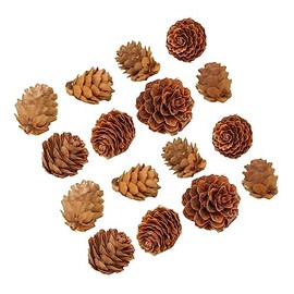 Abaodam 100 Pcs Artificial Pine Cone Decorations Mini Pinecone Christmas Tree Decorations Pine Cone Decor for Home Office Wedding DIY
