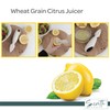 Servette Home Wheat Straw Citrus Reamer, 6.5 inches, Eco-Friendly, for