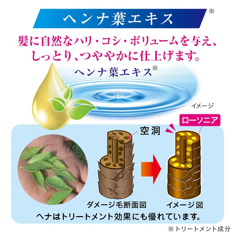 TENSTAR Hena Color Treatment NIII (Ash Dark Brown) x 2