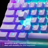 SteelSeries Apex 3 TKL Lavender RGB Gaming Keyboard — Tenkeyless
