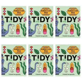 Tidy Tea, Moroccan Tea, 6 x 15 Plastic Free Pyramid Tea Bags, a Delicate & Smooth Green Tea with Moroccan Mint