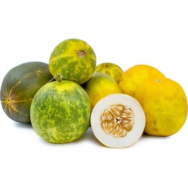 TomorrowSeeds Lemon Cucumber Seeds | Dosakai Countryside 25+ Heirloom Seeds, 100% Organic, USA