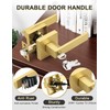 Tinewa 2 Pack Brushed Gold Entry Door Levers with Lock