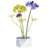 Burgon & Ball Ikebana Fuji Japanese Bowl with Kenzan Spike