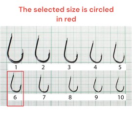 PRO FILSTAR Fishing Hook Set with Leader 10 Pieces, N6 - Tied Hooks with Mono Fishing Line 50 cm, Diameter 0.18 mm - Carp Fishing - Carp Fishing Accessories - Carp Fishing Hooks - Fishing Accessories