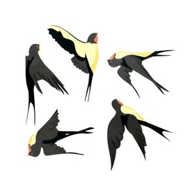 Pack of 5 Bird Stickers for Window Panes, Bird Wall Stickers, Bird Sticker Window, Anti-Collision Window Sticker Shape, Window Sticker, Bird Protection, Summer Stickers for Windows, Window Stickers