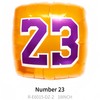 8Pcs Number 23 Basketball balloons for Men Teen Boys Birthday