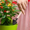 OFFSCH Mini Gardening Tool Set 3-Piece Stainless Steel Hand Shovel