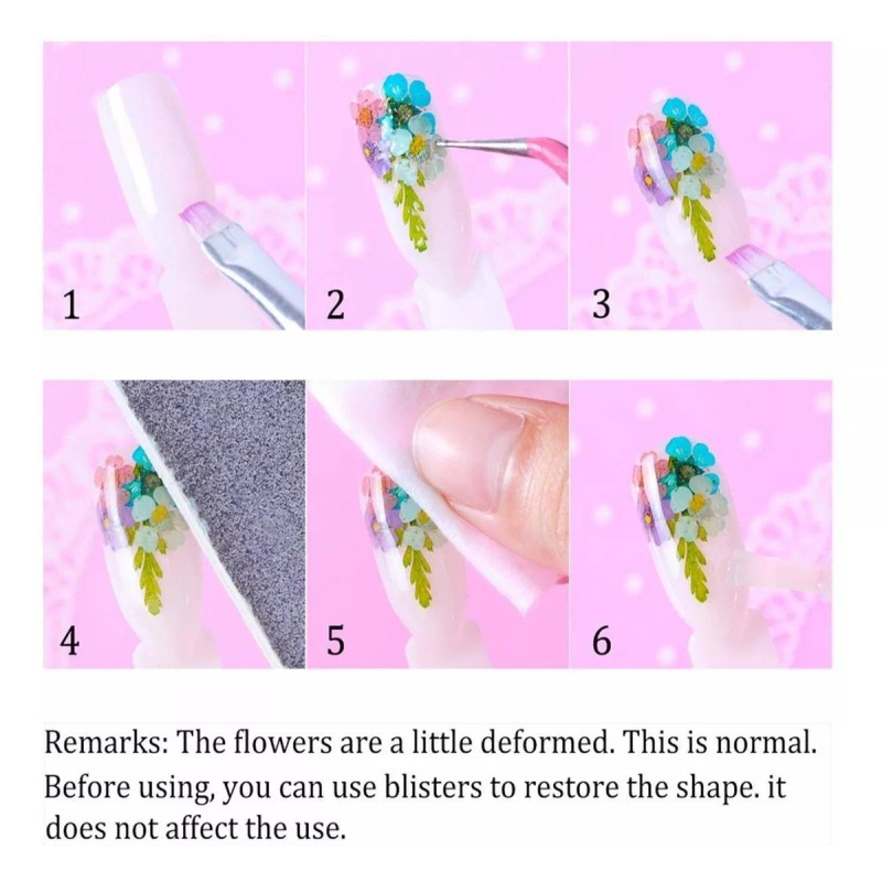 Phaeton 36 Colores De Flores Secas En 3d Para Uñas,