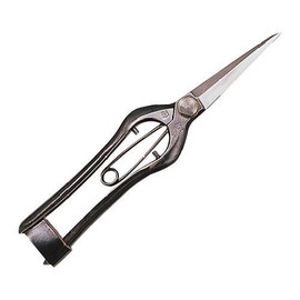 Venus Itâ € TMs Notebook Buds Cutting Shears Straight Blade 200 MS B. Set of P 2502 