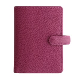 Filofax Mini Finsbury Diary - Raspberry