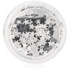 Cosmetic Glitter Stars for use on the face - Silver